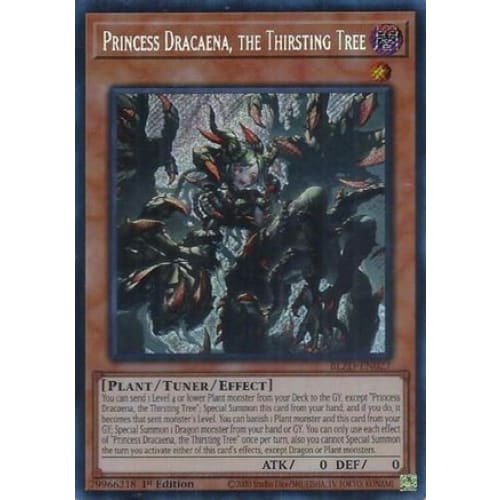 Princess Dracaena the Thirsting Tree