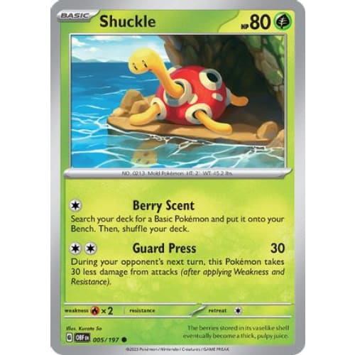 Shuckle (005/197) Common - Single
