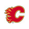 2020-2021 Parkhurst Nhl Team Set Calgary Flames - Blister