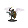 Dungeons and Dragons Nolzur’s Marvelous Premium Minis:
